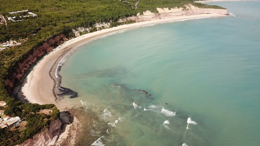 Vista aérea da Baía dos Golfinhos com falésias e mar verde, em Pipa (RN)