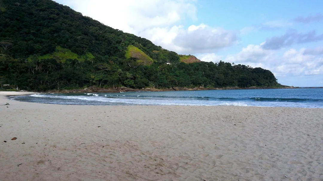 Areia e mata atlântica na praia de Camburi, em São Sebastião (SP)