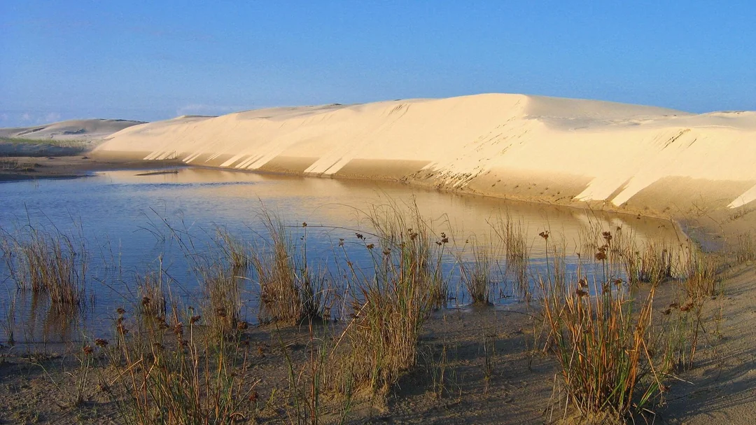 Dunas em Cidreira (RS)