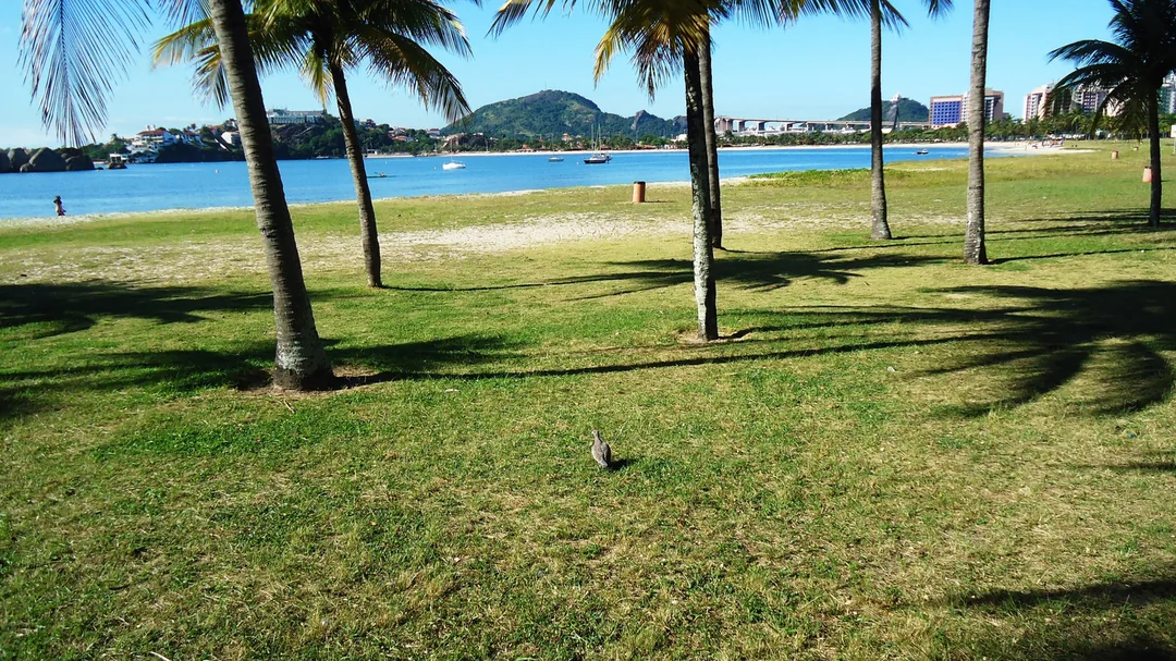 Vista de Curva da Jurema, em Vitória (ES)