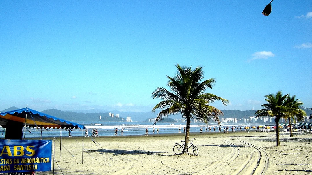 Coqueiro e barraca na areia da Praia do Embaré, em Santos (SP)