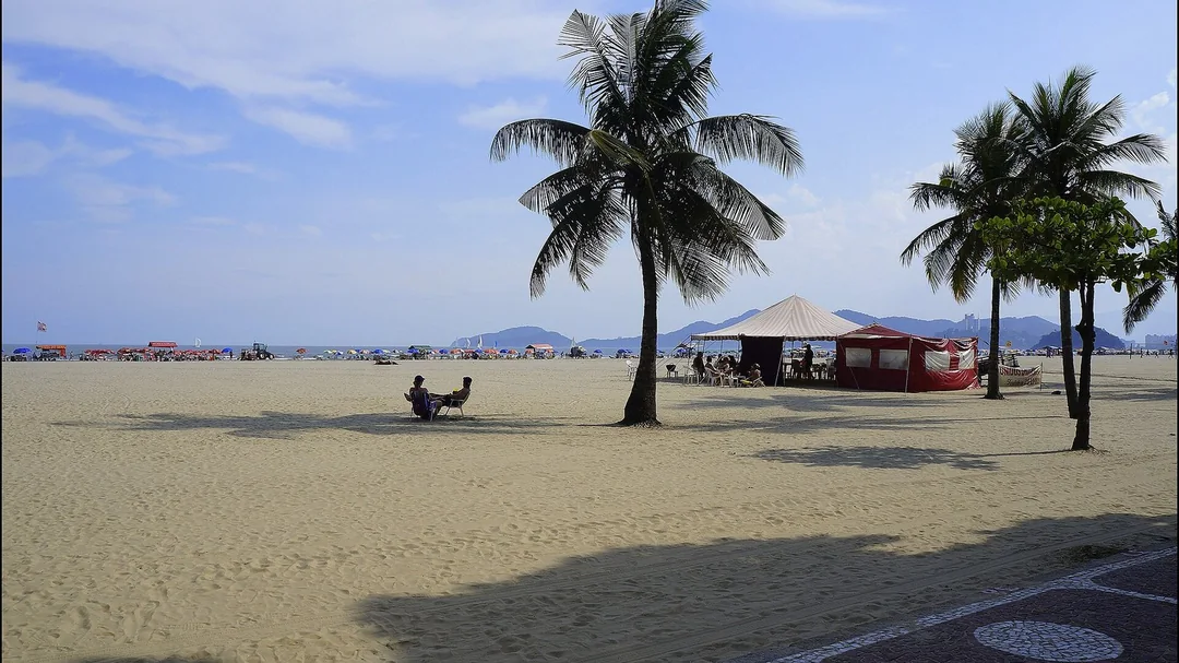 Coqueiros e areia na Praia do Gonzaga, em Santos (SP)