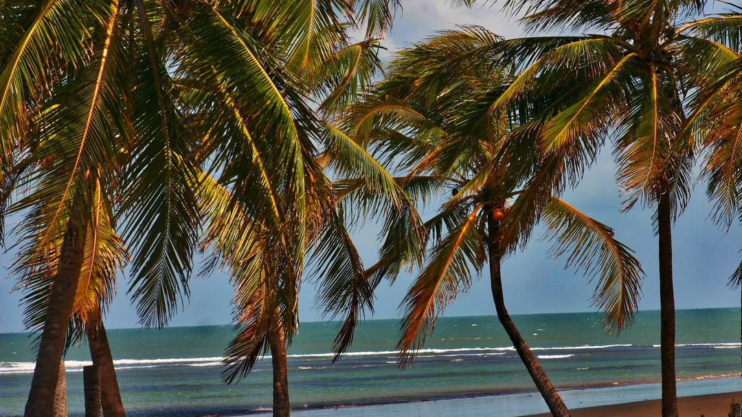 Vista de Icaraí de Amontada, em Amontada (CE)