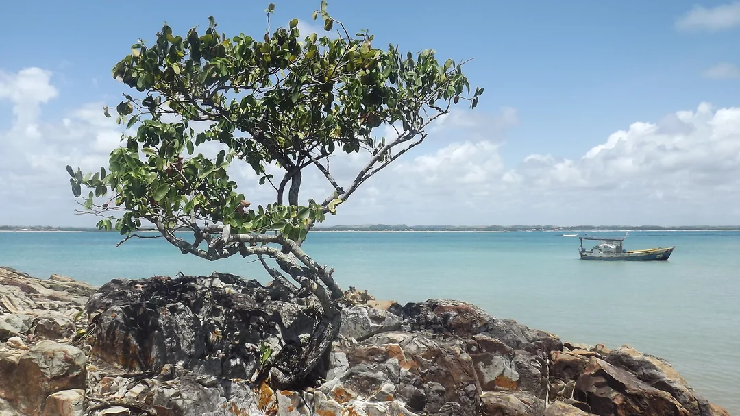 Vista de Ilha de Santo Aleixo, em Sirinhaém (PE)