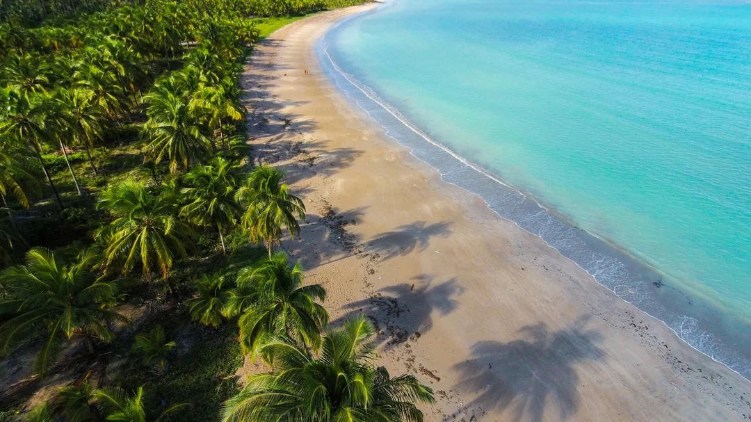 Vista aérea da praia de Ipioca com coqueiros e mar turquesa, em Maceió (AL)