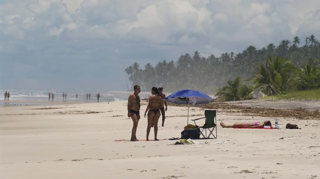 Faixa de areia e coqueiral em Itacarezinho, Itacaré (BA)
