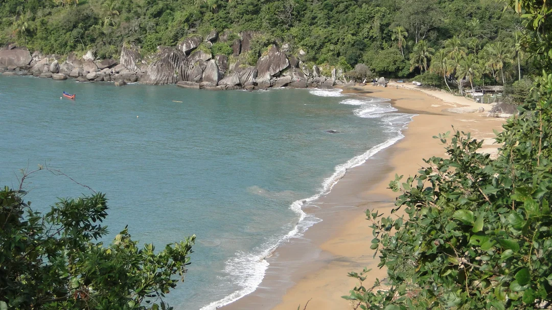 Praia do Jabaquara de Ilhabela, em Ilhabela (SP): Praia do Jabaquara vista do alto, cercada de mata atlântica, em Ilhabela (SP)
