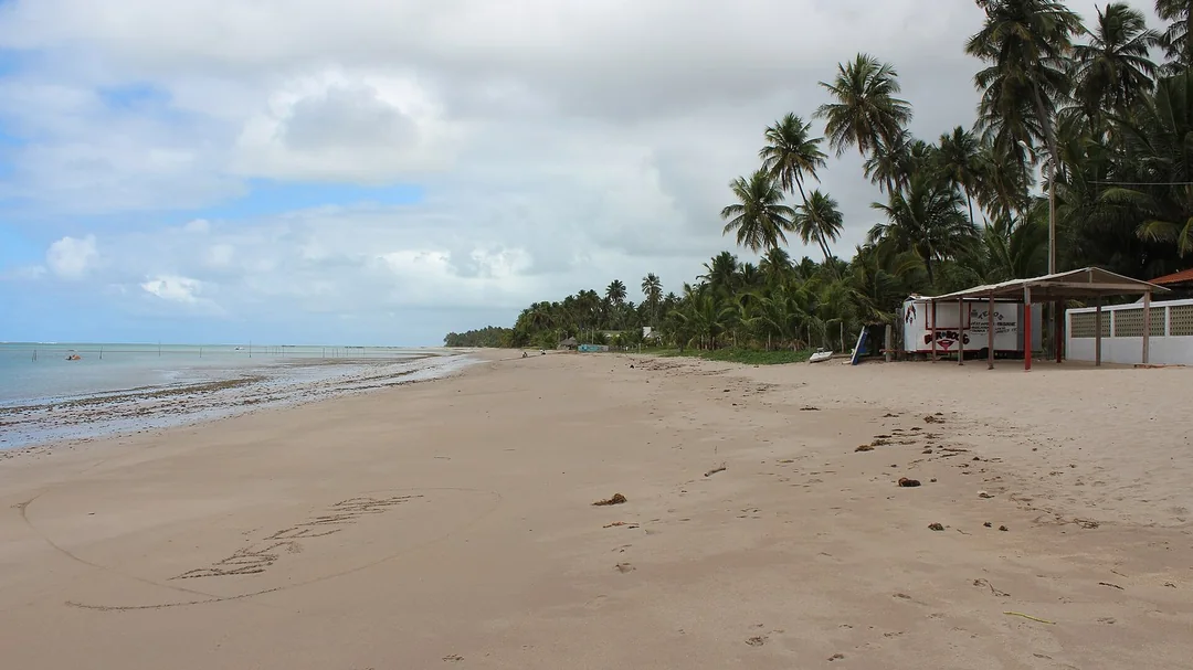 Maragogi (Galés), em Maragogi (AL): Praia de Maragogi na maré baixa, com coqueiros e areia clara (AL)
