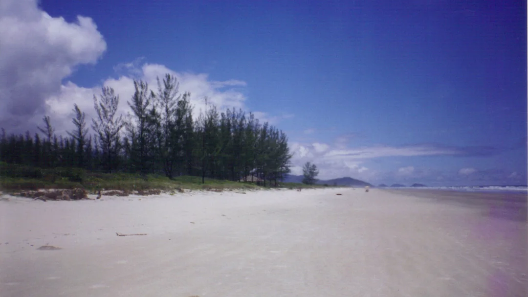 Areia clara e árvores à beira da Praia do Marujá, na Ilha do Cardoso, em Cananéia (SP)