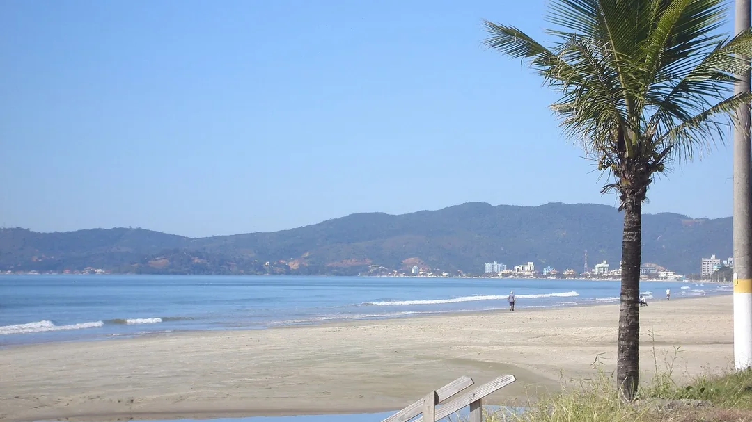 Areia e coqueiro na Meia Praia, em Itapema (SC)