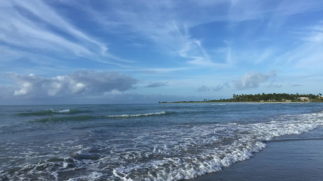 Mar e coqueirais na praia de Paripueira (AL)