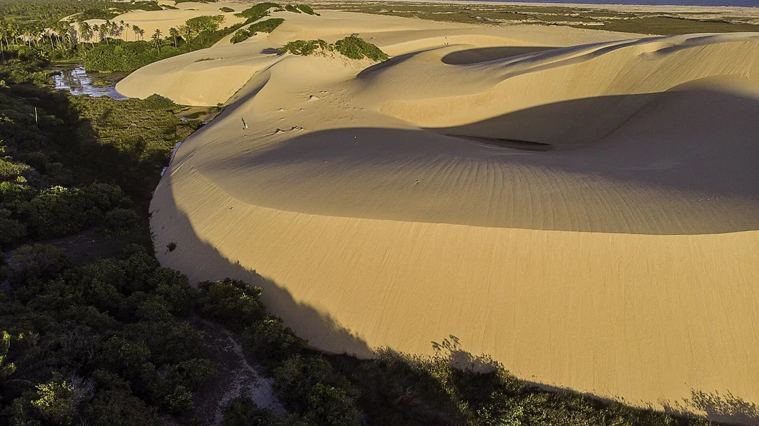 Praia de Pirambu, em Pirambu (SE): Dunas da Reserva Biológica de Santa Isabel, em Pirambu (SE)