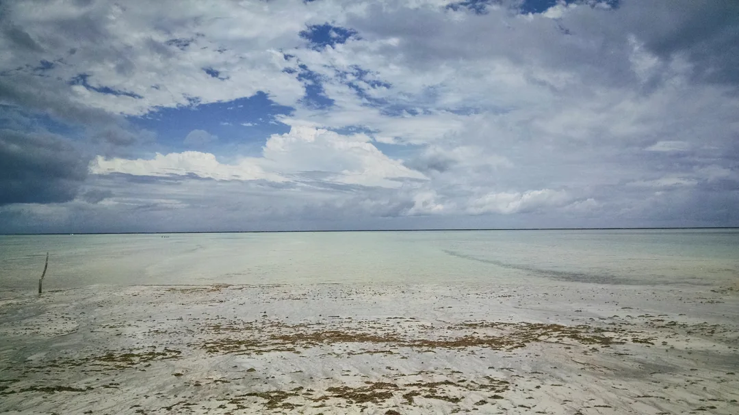 Vista de Ponta de Mangue, em Maragogi (AL)