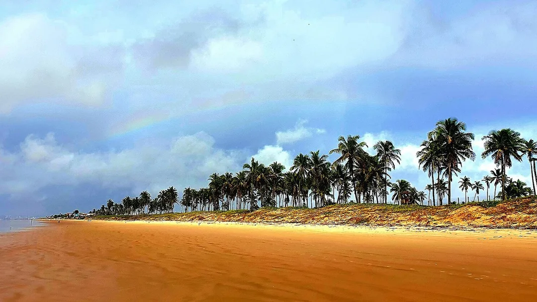 Praia da Costa, em Barra dos Coqueiros (SE): Coqueiros e areia na orla de Barra dos Coqueiros (SE)