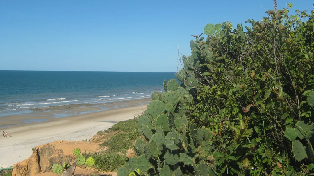 Falésia e vegetação na Praia das Fontes, em Beberibe (CE)