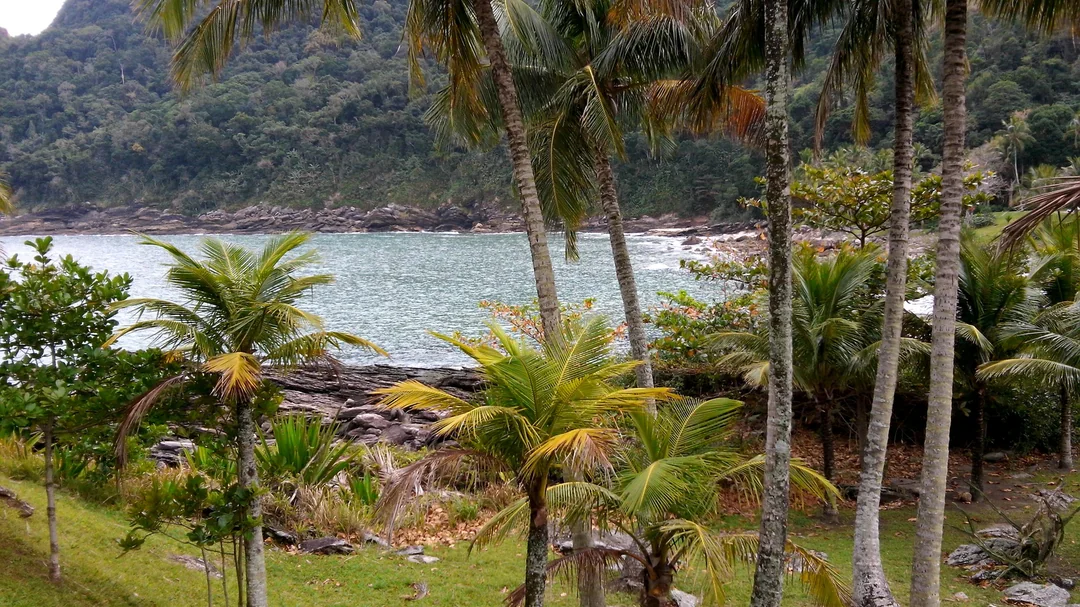 Vista de Praia de Calhetas, em São Sebastião (SP)