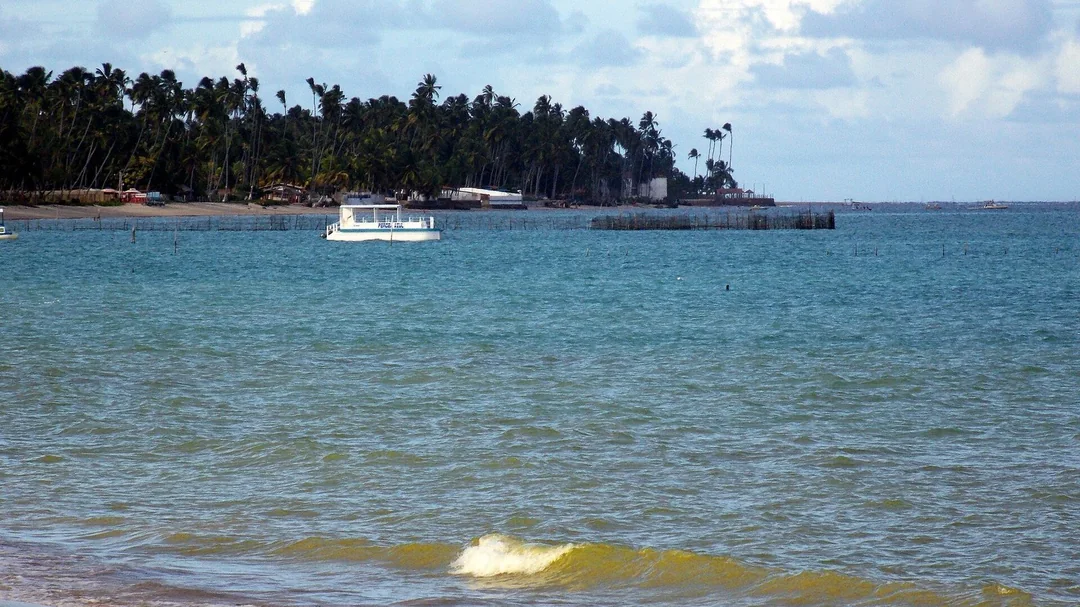 Mar e coqueiral na Praia de Peroba, em Maragogi (AL)