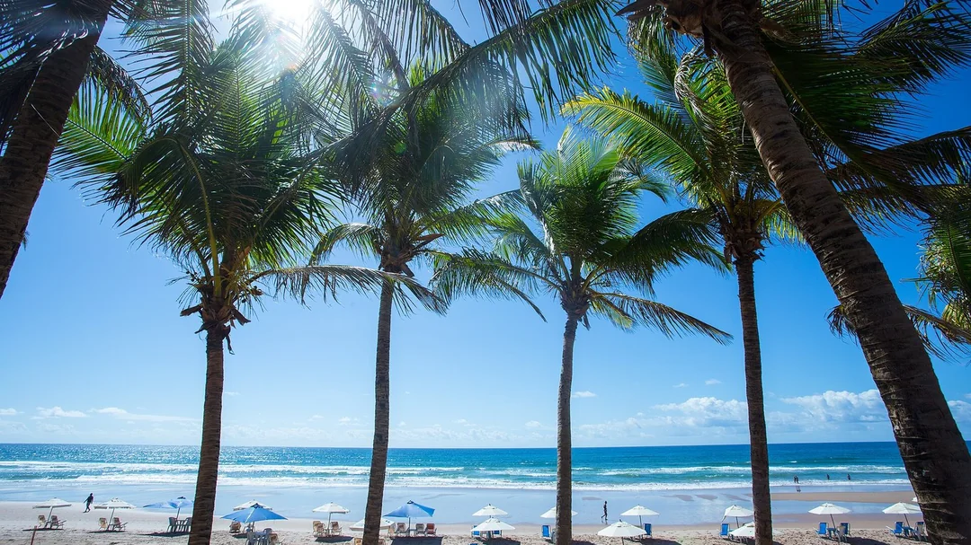 Coqueiros e barracas na Praia do Flamengo, em Salvador (BA)