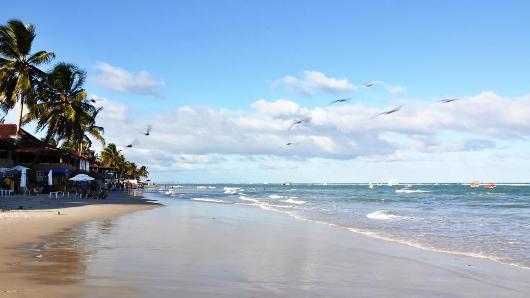 Coqueiros, areia e mar da Praia do Francês, em Marechal Deodoro (AL)