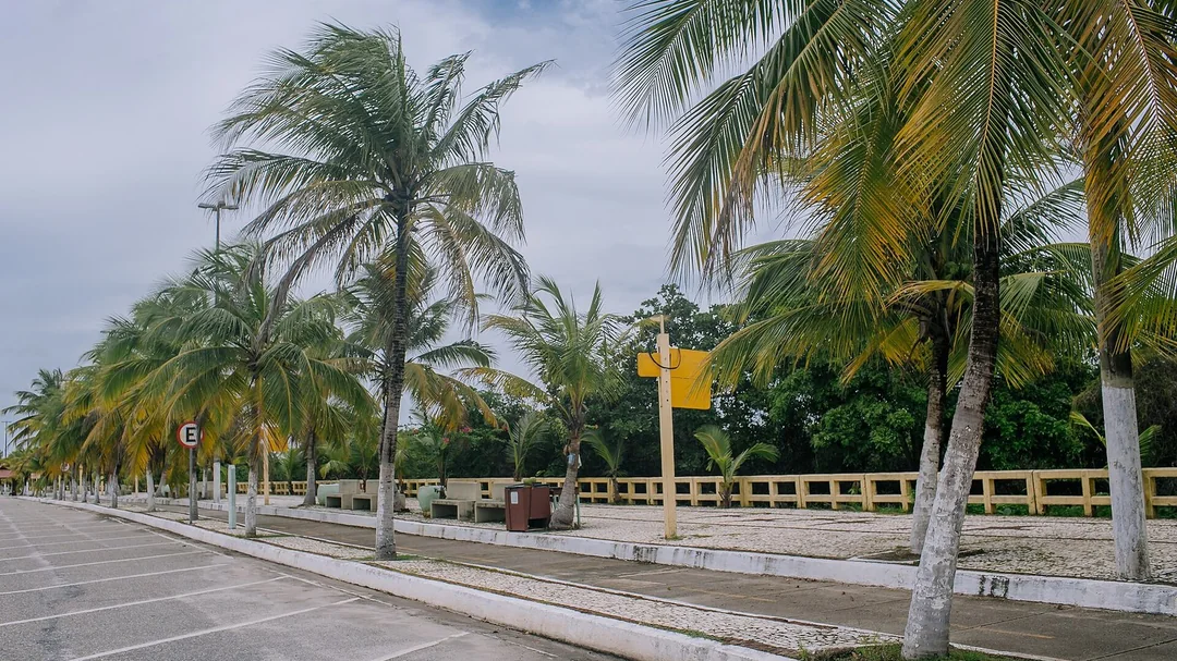 Praia do Maçarico, em Salinópolis (PA): Orla do Maçarico, com calçadão e coqueiros, em Salinópolis (PA)
