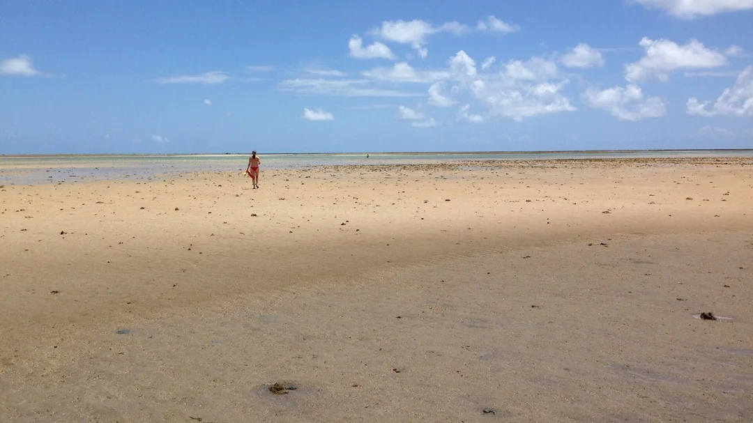 Faixa de areia e mar raso da Praia do Patacho na maré baixa, em Porto de Pedras (AL)