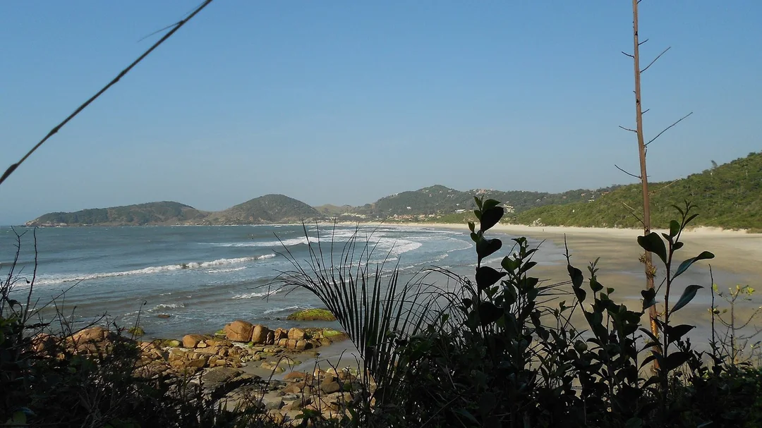 Praia do Rosa vista da trilha entre vegetação, em Imbituba (SC)
