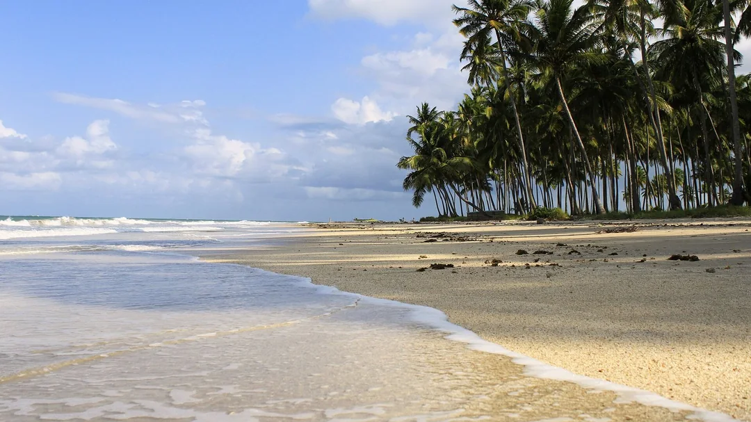 Mar calmo e coqueiral da Praia dos Carneiros, em Tamandaré (PE)