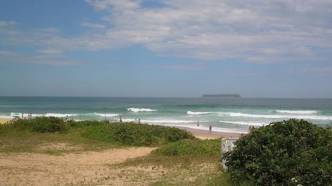 Vegetação de restinga e mar da Praia Mole, em Florianópolis (SC)