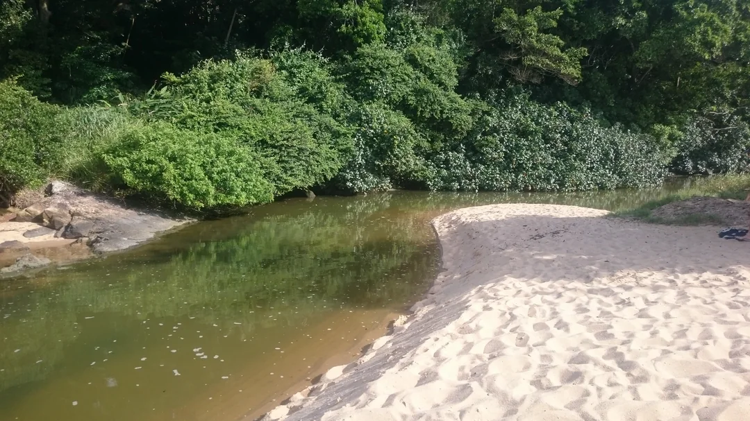 Vista de Praia de Taquaras, em Balneário Camboriú (SC)