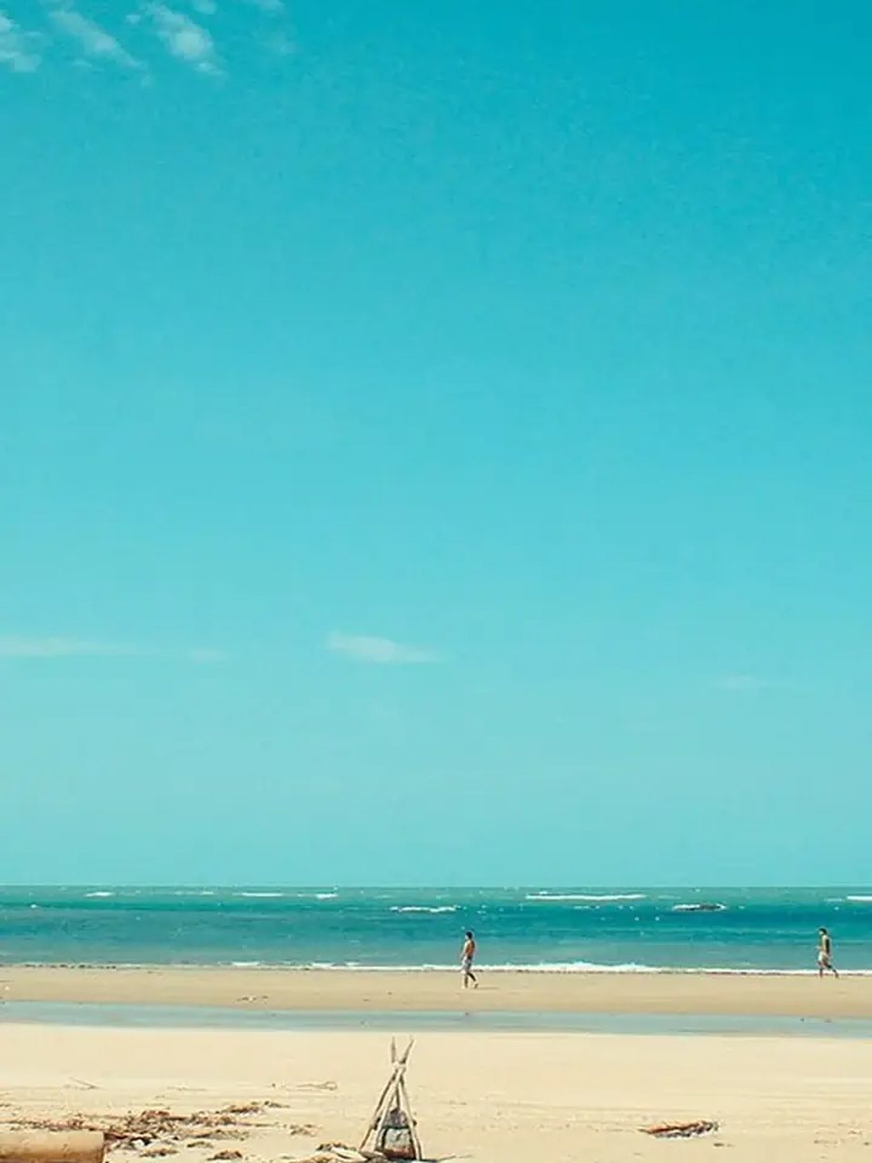 Flecheiras