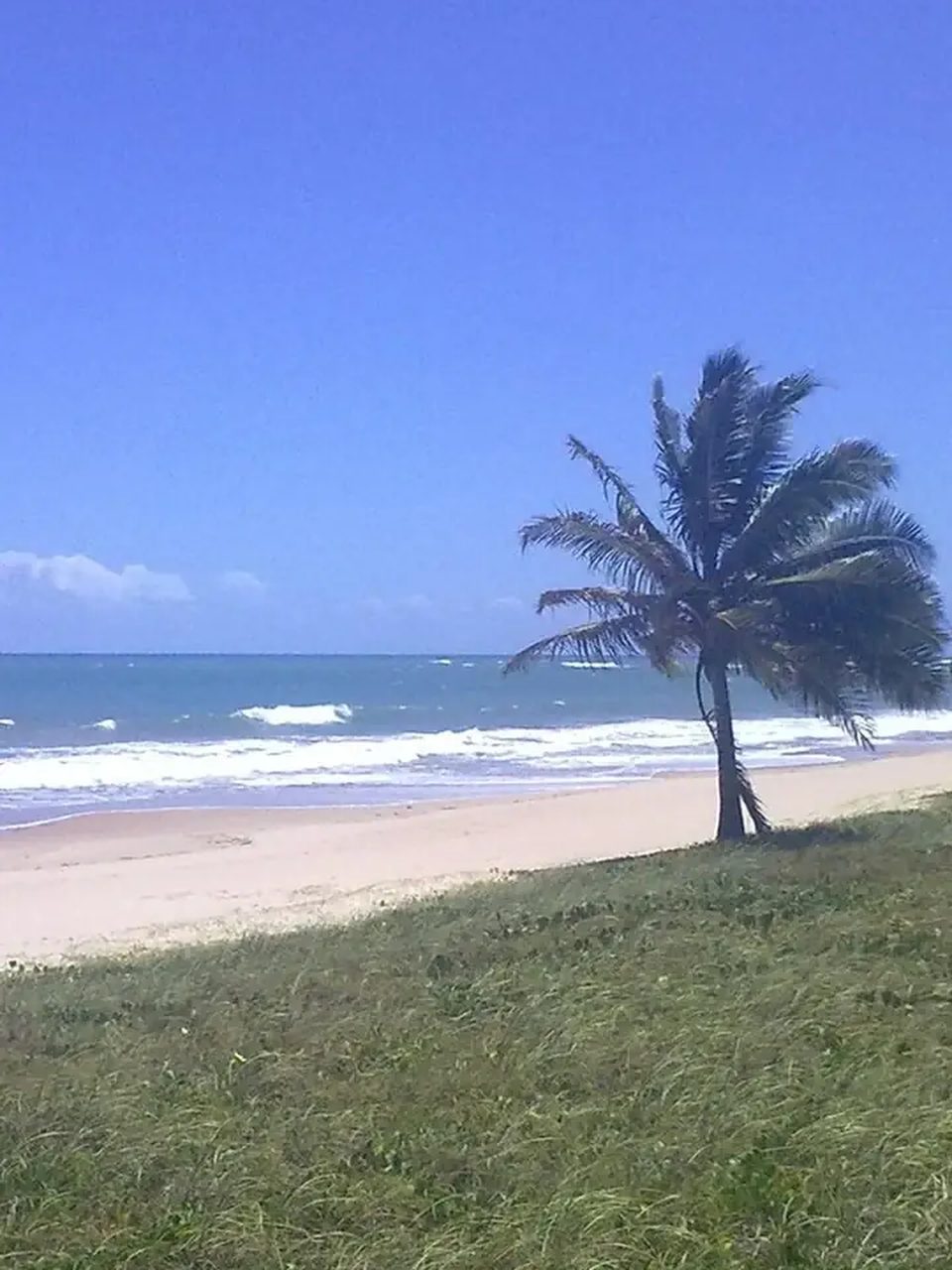 Guarajuba