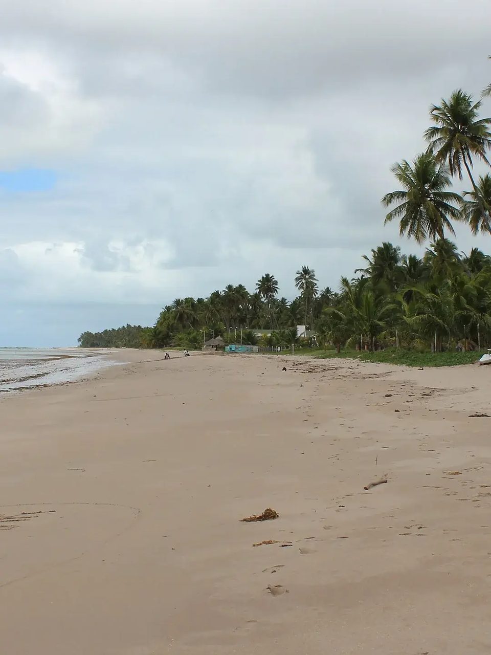 Caminho de Moisés: maré certa em Maragogi, Lucena e Maceió