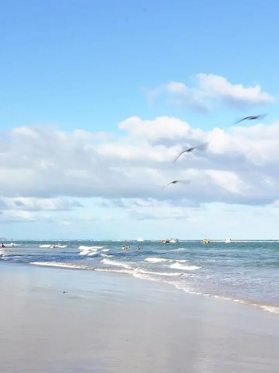 Praia do Francês