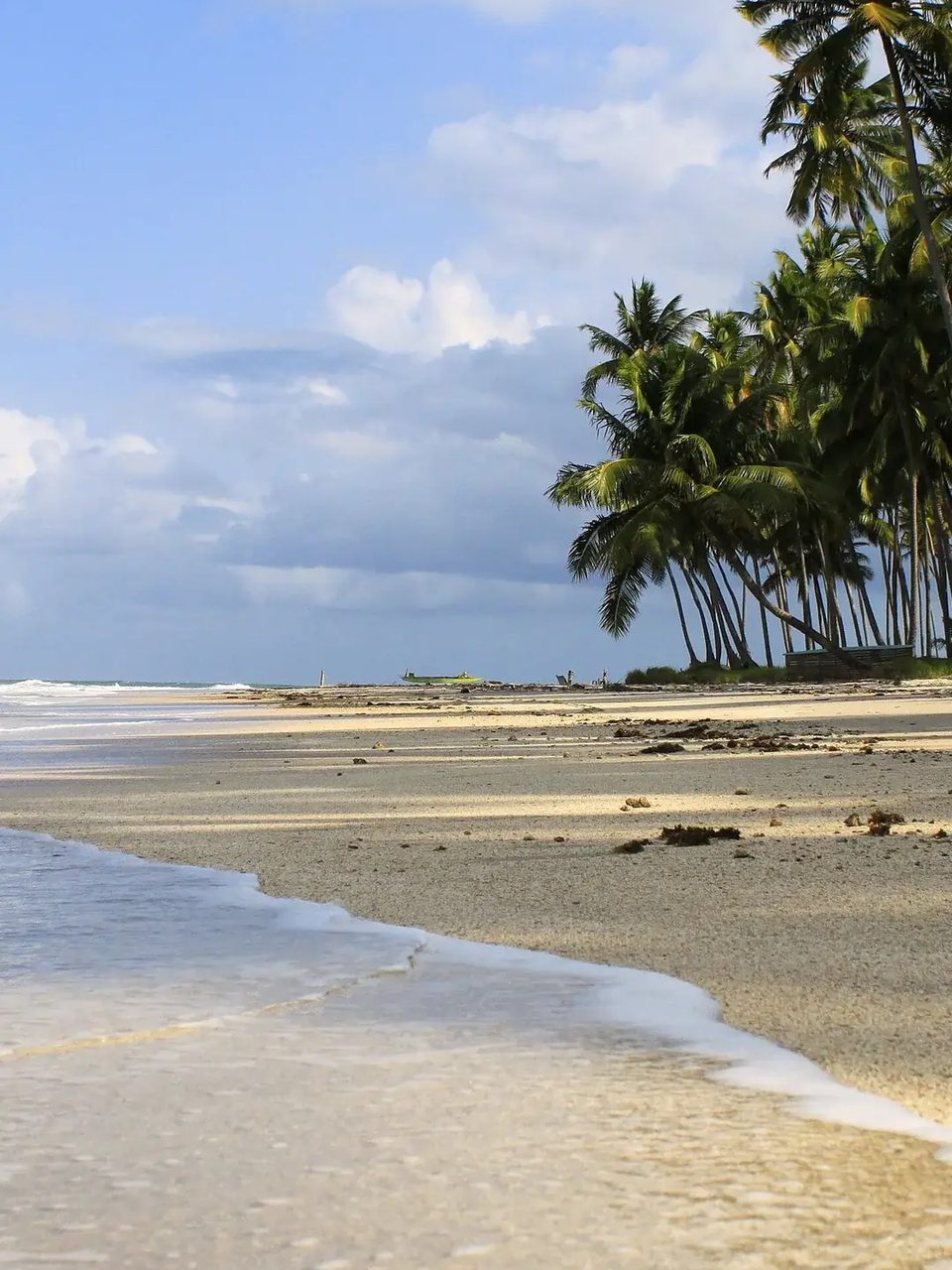 Melhores praias do Nordeste: o que cada estado tem de bom